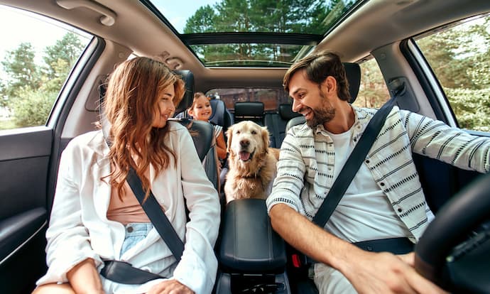 familia viajando en auto junto a su perro